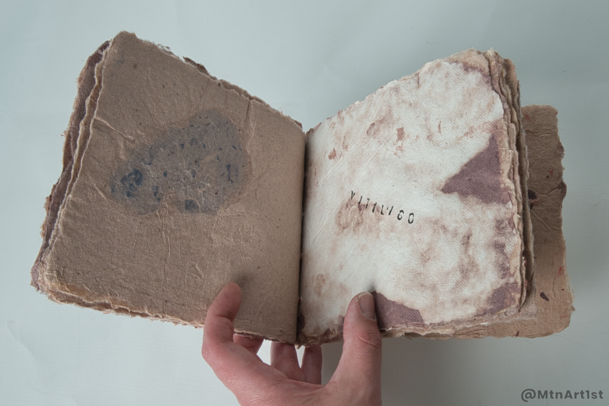 Stabbook by Sampson. Links to Skin Deep series page.